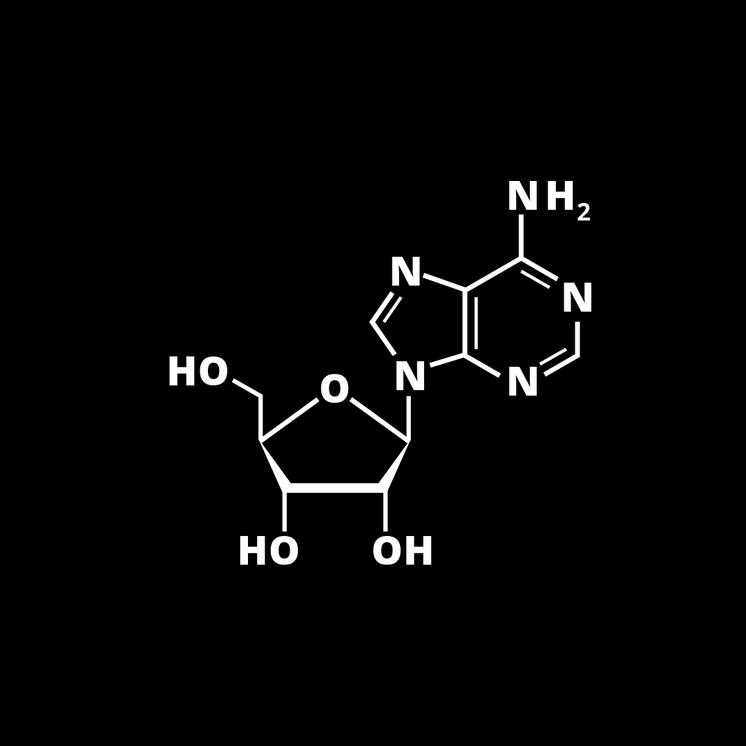 The Science Behind Adenosine in Skincare - Prossence